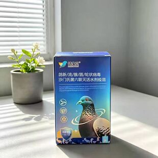 鸽宝贝新/流/腺/圆/轮状/沙门氏六联灭活水剂