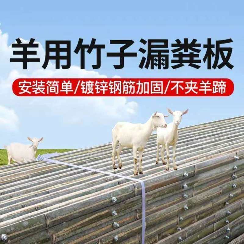 羊床漏粪板羊圈竹排羊舍棚架子养羊设备网羊床竹制竹架养殖场竹板