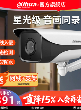 大华400万poe网络摄像头星光夜视室外摄影监控器DH-IPC-HFW2433M