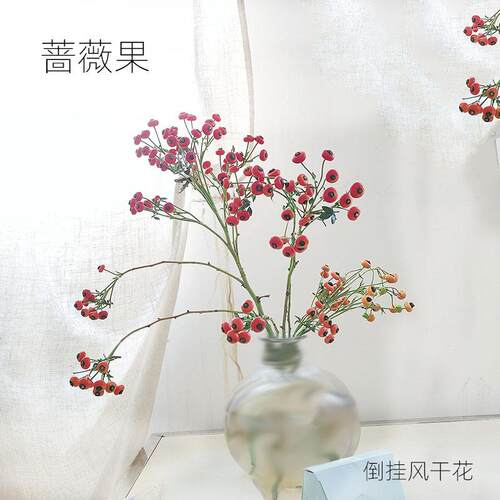 秋红色水养蔷薇果装饰高端花材花期长可做干花山货果子花束鲜切枝