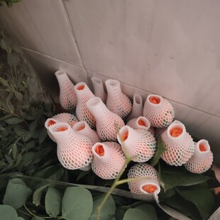 白玫瑰粉月季云南新鲜花鲜切花水养插花装饰花束礼物