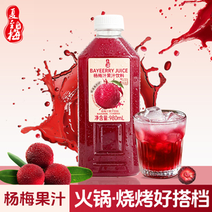 夏至梅杨梅汁980ml*2瓶