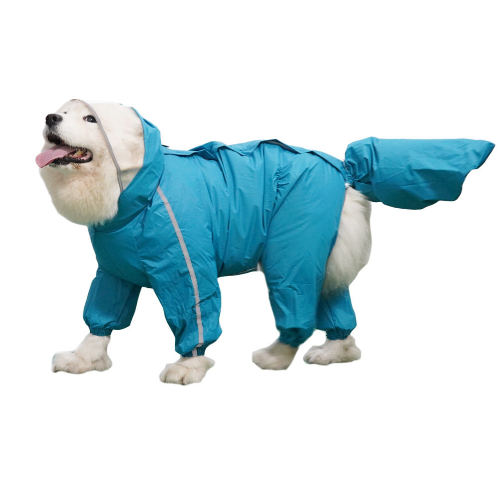 金毛萨摩耶大型犬全包雨
