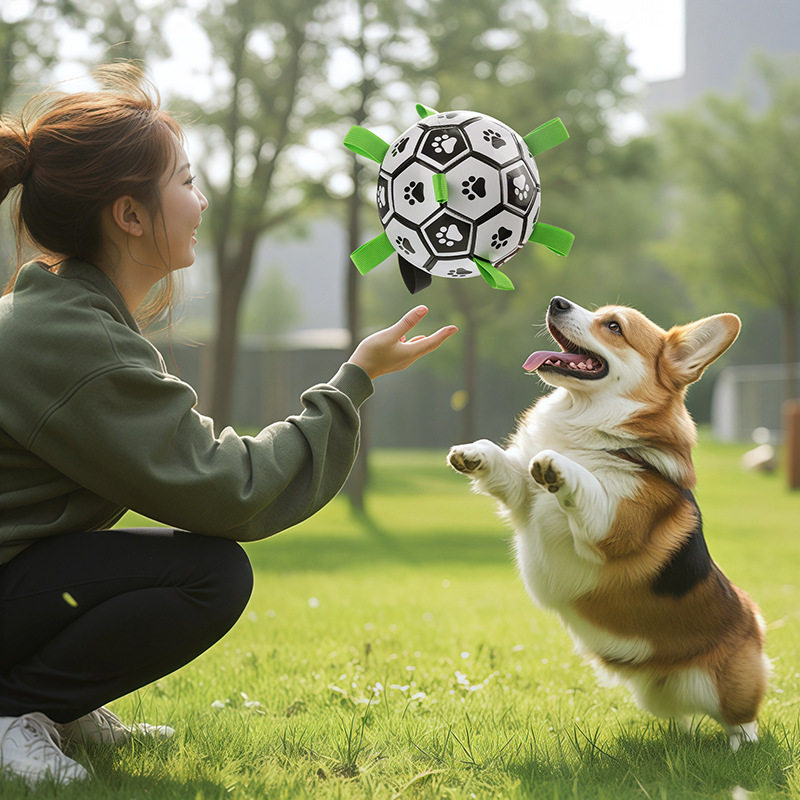 狗狗玩具球边牧自嗨拉布