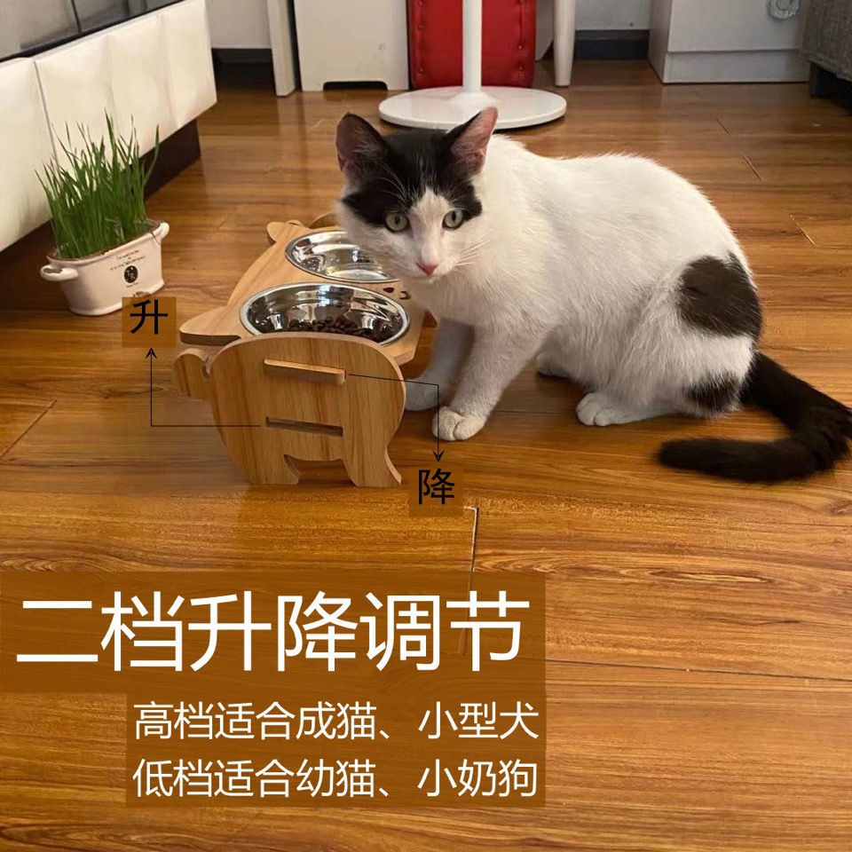 宠物碗猫咪双碗成猫幼猫