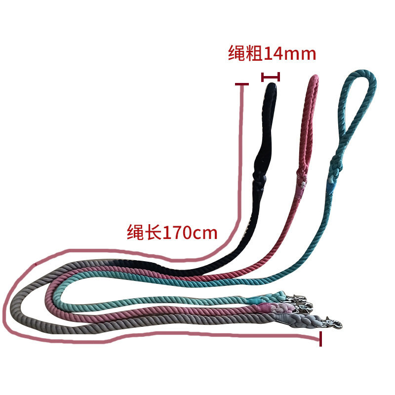 狗狗牵引绳宠物三股辫绳