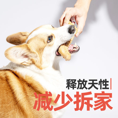 特价FOS两只福狸狗狗玩