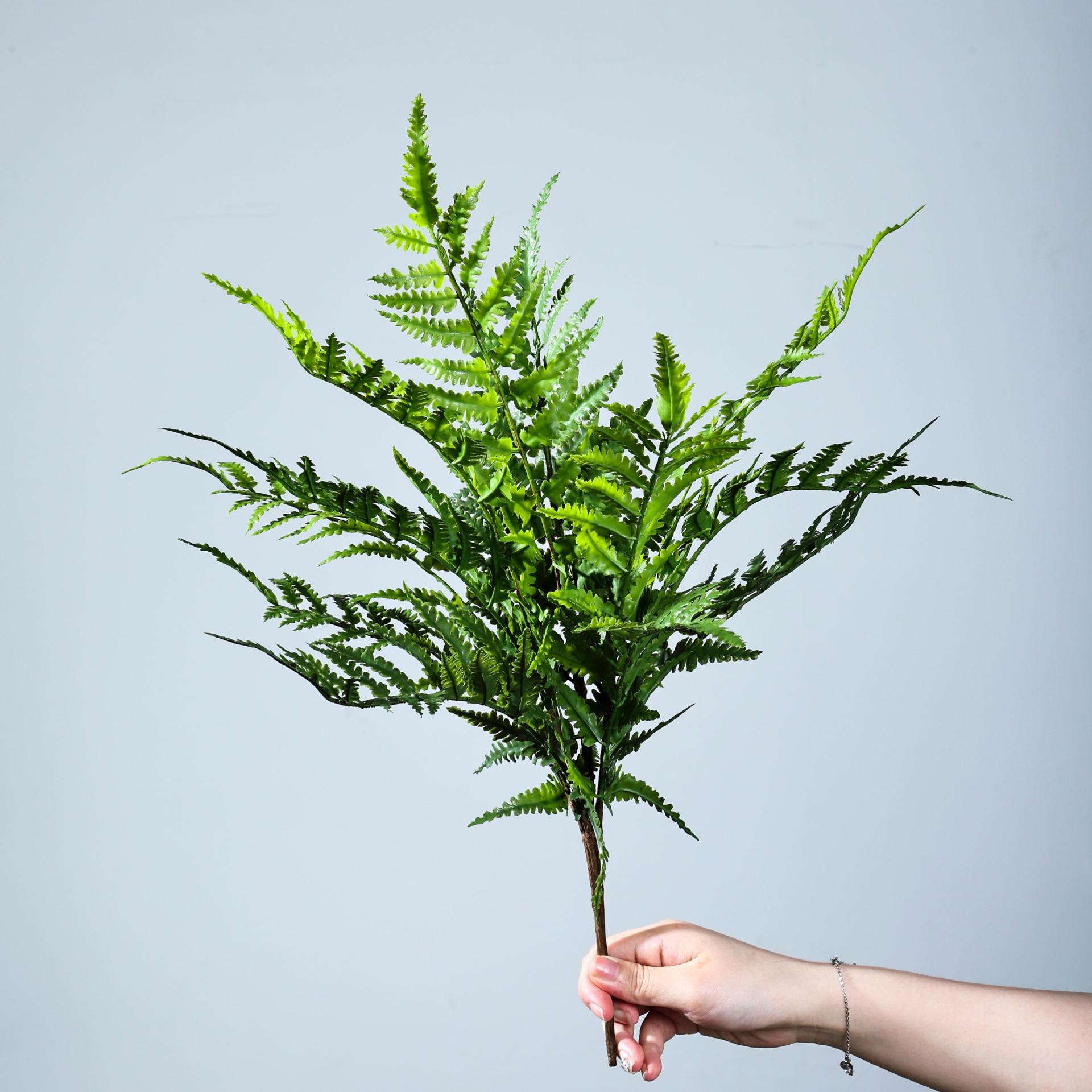 波斯蕨草仿真叶造景植物