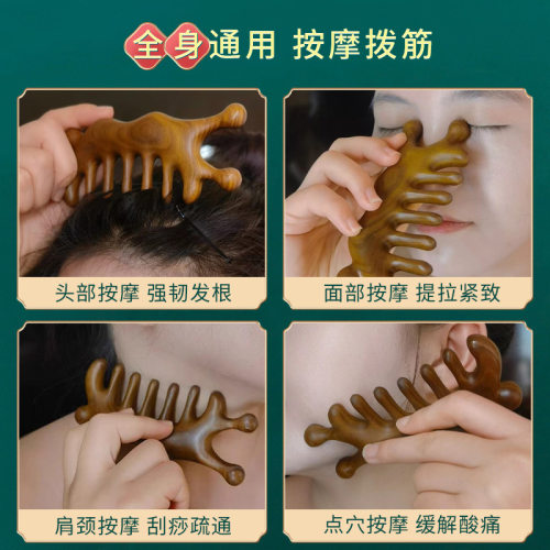 绿檀大蜗牛按摩梳多功能
