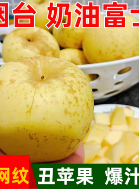 山东烟台苹果黄金奶油富士苹果脆甜多汁新鲜水果栖霞黄苹果特产丑
