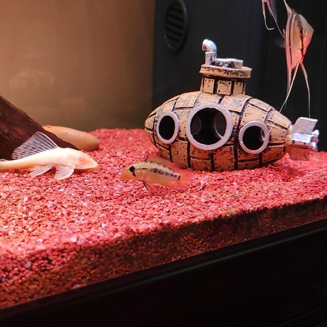 鱼缸造景创意摆件潜水艇装饰物沉底复古摆件爬宠洞穴小鱼躲避屋