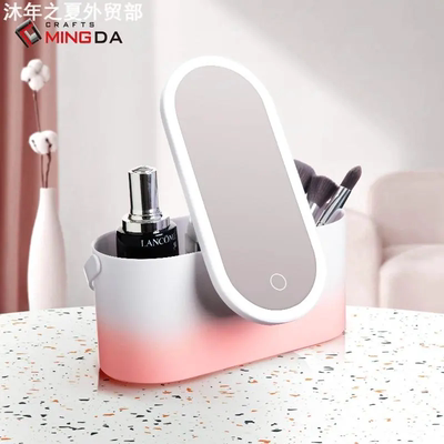 LED makeup mirror with light strip  storage vanity mirror