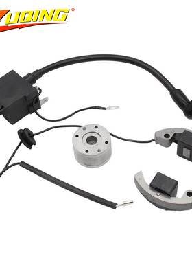 摩托车点火线圈适用于50 SX 50cc Pro定子更换磁性飞轮套件配件