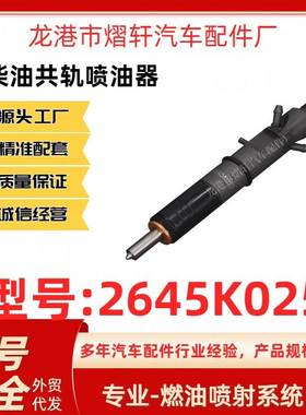 2645K025 4226665M91 柴油共轨喷油器电喷喷油嘴 油嘴适用于帕金