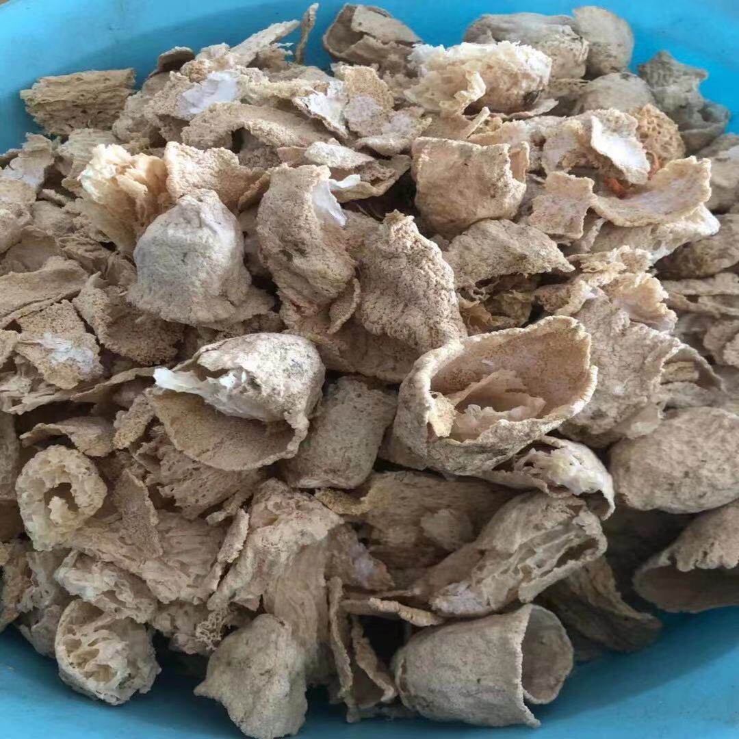 竹荪碎片竹荪干货500g非野生天然无硫竹笙食用菌菇特产新货煲汤