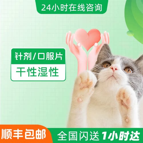 猫咪干性湿性水剂油剂针剂口服片剂营养液