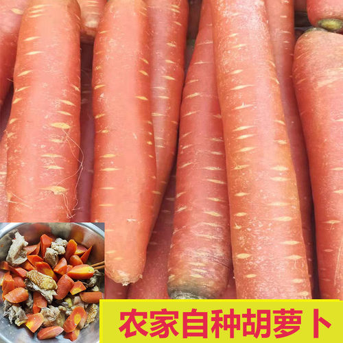 新鲜蔬菜胡萝卜孕妇食用5斤包邮