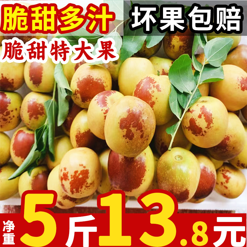 现货山东沾化冬枣5斤枣子新鲜当季孕妇水果冰糖脆枣鲜枣甜枣整箱