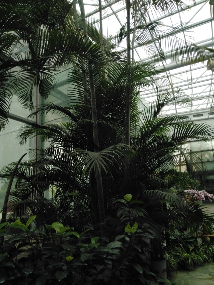 韩版显瘦套头衫加厚打底高领毛衣