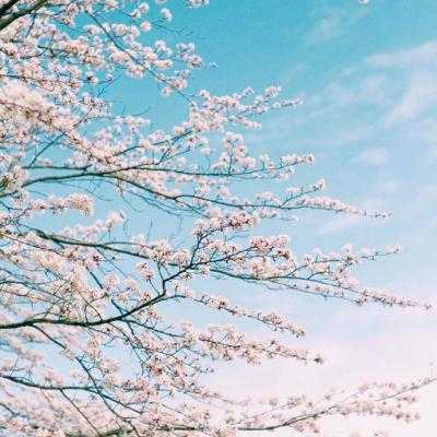 韩版显瘦套头衫加厚打底高领毛衣