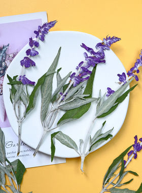 一串紫干花压花紫色鼠尾草春日来信手工信封书签相框标本材料DIY