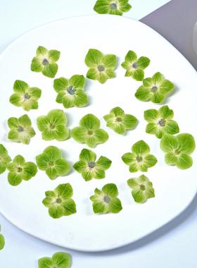 国绿色绣球干花压花植物标本手机壳书签押花画手工誓言卡婚礼相框