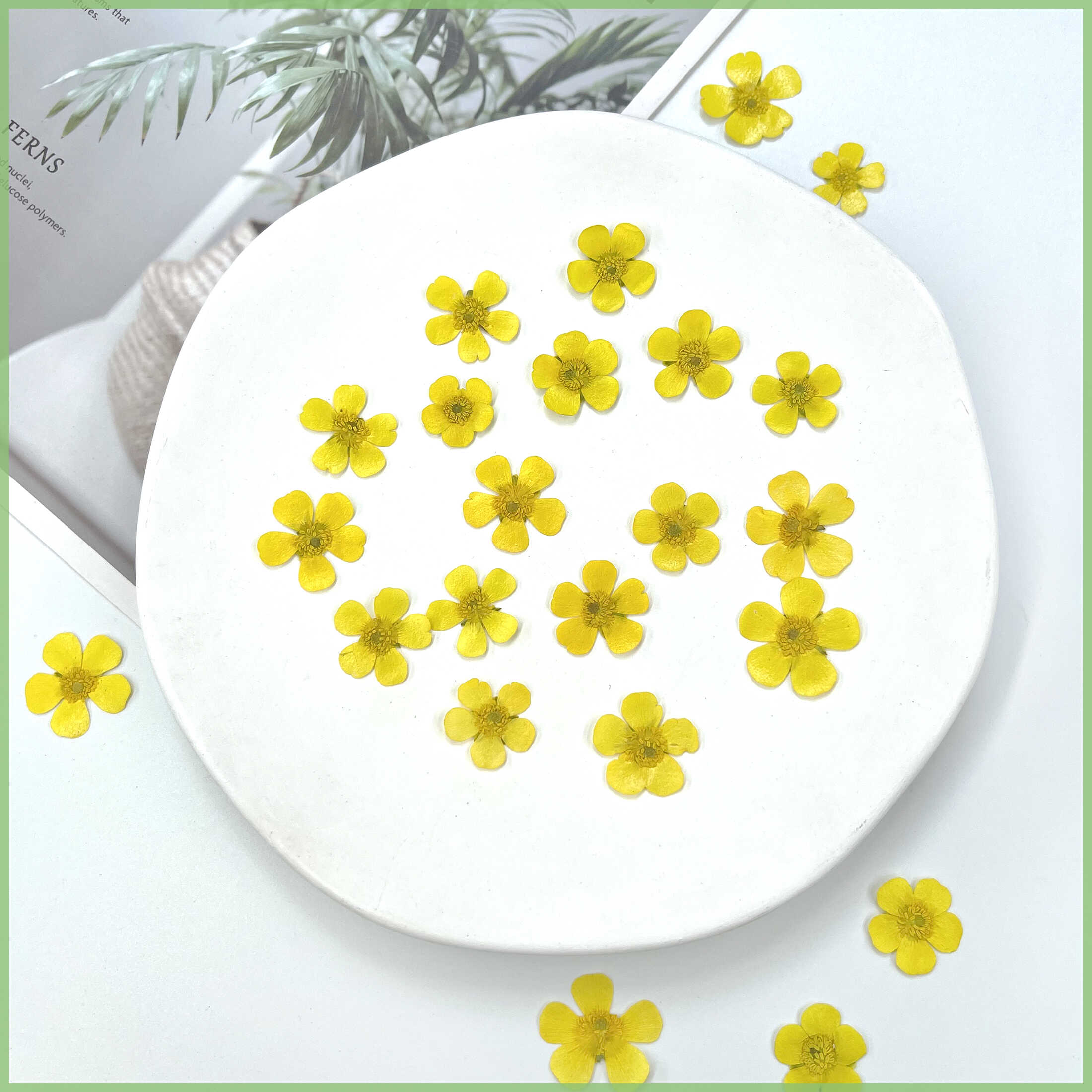 油画质感迷你花朵标本