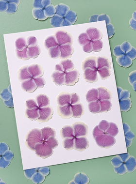 孔雀绣球蓝色干花压花花瓣妆粉色植物标本书签押花画相框DIY材料