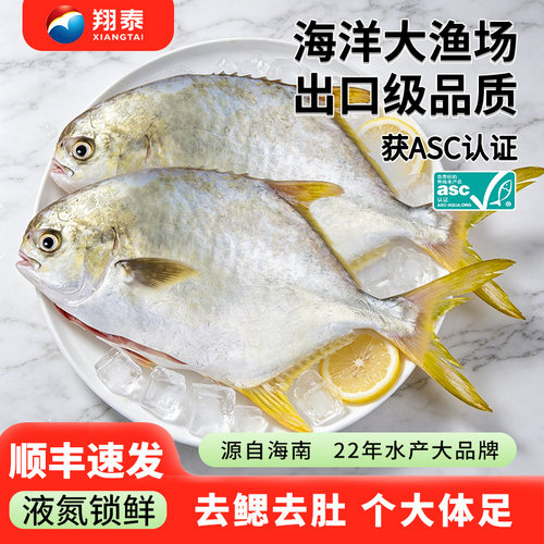 翔泰金鲳鱼新鲜二去冷冻原条刺少肉厚肉质鲜嫩肥硕海南官方旗舰店