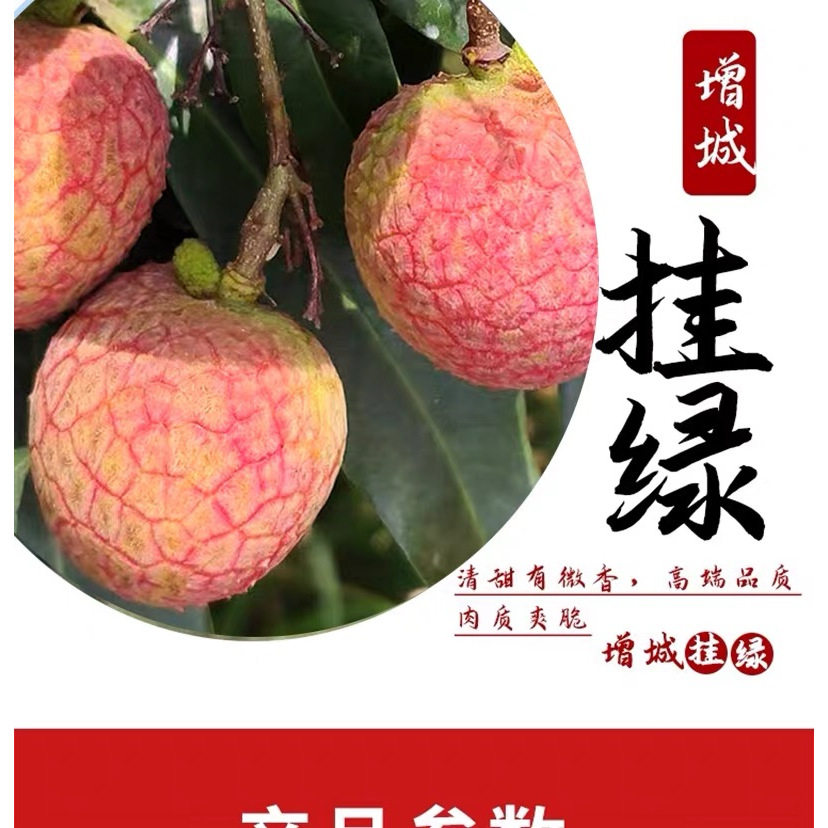 正宗增城挂绿荔枝高端送礼定制贡荔枝