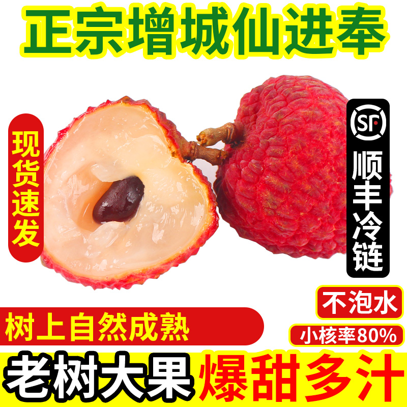增城仙进奉荔枝 大超大新鲜包邮5斤装整箱顺丰现摘现发广东当季荔