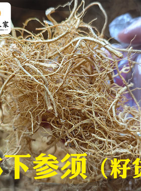 野山参须林下参须林下参籽货参须人参须移山参须泡水泡酒煲汤包邮