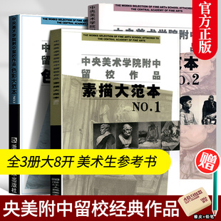 【大8开全3册】中央美术学院附中留校作品 素描大范本1+素描大范本2+色彩大范本1静物临摹教材石膏人物头肖像素描速写基础绘画教程