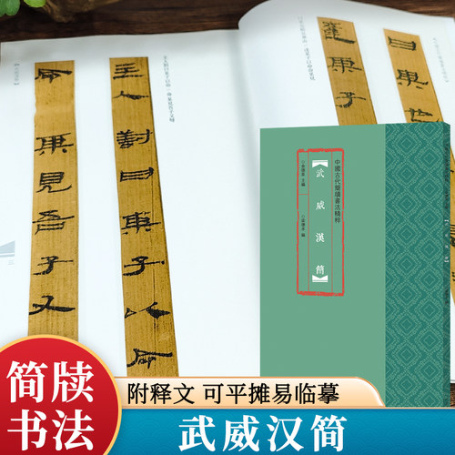 武威汉简中国古代简牍书法精粹