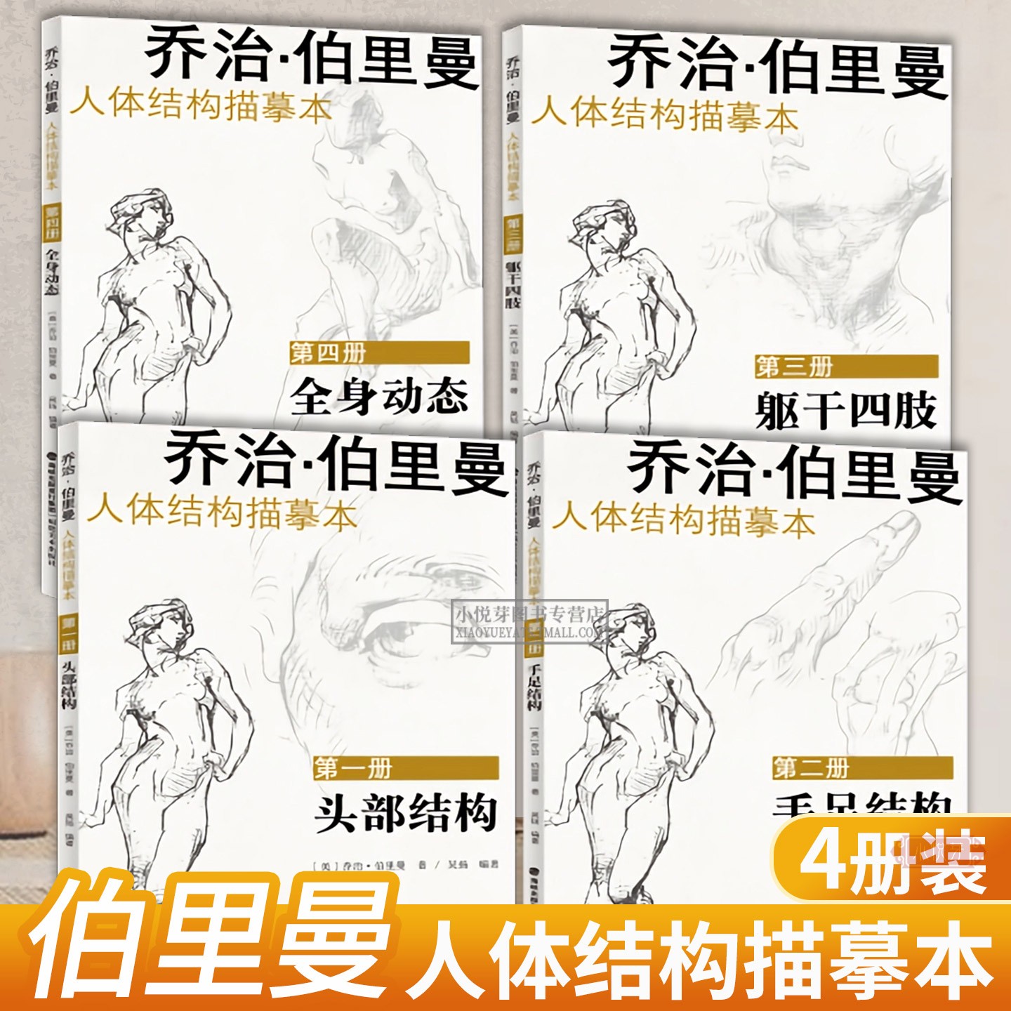 伯里曼人体结构描摹本附视频教学