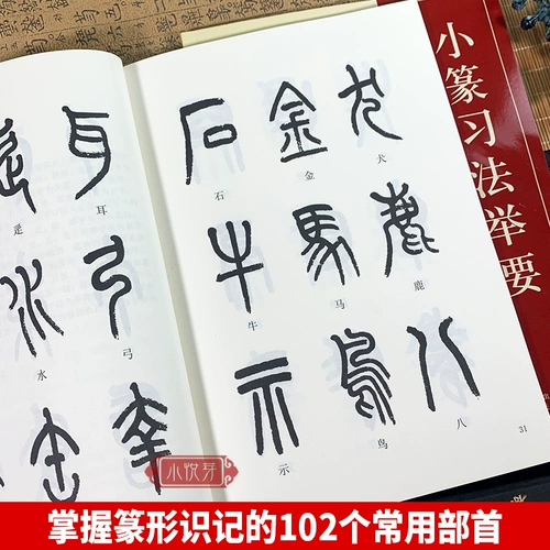 Метод затяжения Сяяна Си затянулся в первую щетку щетки Лин Зиксуаосиао, чтобы объяснить метод объяснения метода анализа кисти кисти.