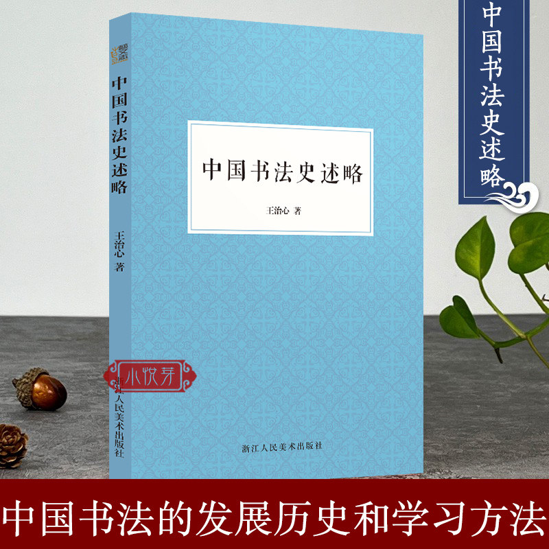 【官方正版】中国书法史述略 中国书法发展历史和学习书法方法了解