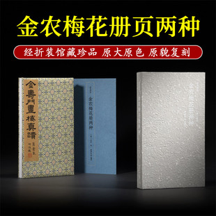 画苑掇英 金农梅花册两种 经折装工笔画花卉动植物画中国画精品选国画水墨画作品美术作品集 精品梅花绘画技法初学者入门临摹教材