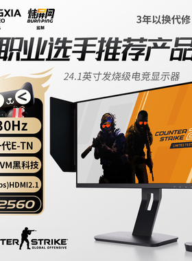 宏夏24.1英寸400hz电竞显示器FastTN360hz游戏显示屏BFI+FK2560