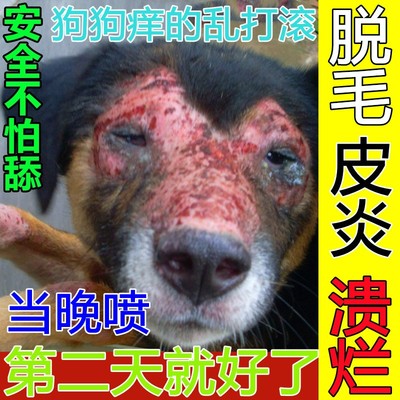 狗身上长癣皮肤病外用药治疗狗癣皮炎真菌感染脱毛红疹猫专用喷剂
