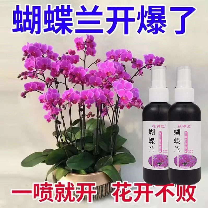 蝴蝶兰免稀释专用营养液家用防黄叶催花促花养花肥料兰科植物通用