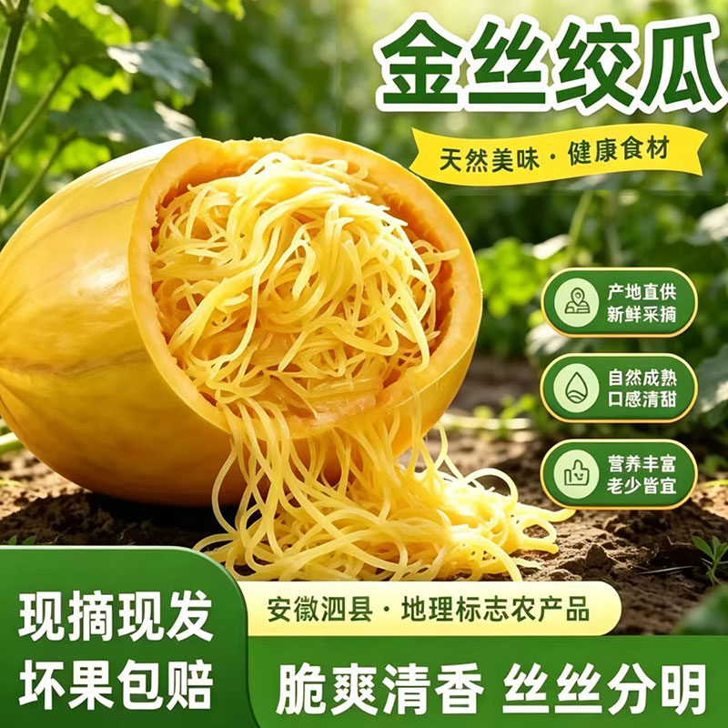 正宗新鲜安徽泗县金丝绞瓜产地直发搅瓜黄金瓜角瓜鱼翅瓜凉拌蔬菜