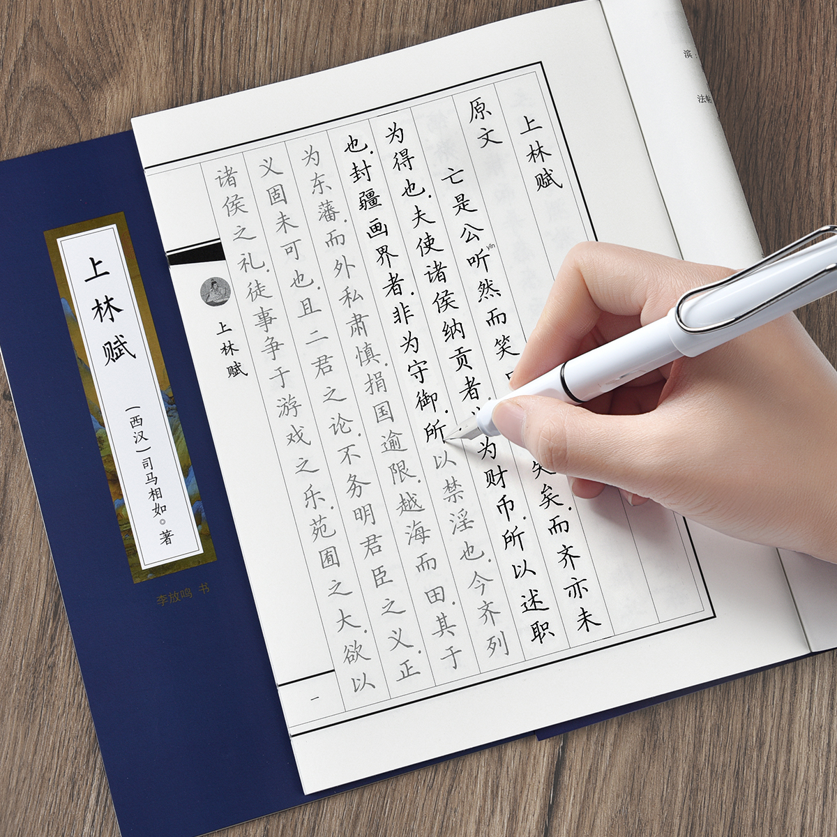 上林赋临摹字帖练字成人成年楷书
