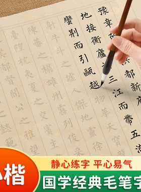 滕王阁序小楷毛笔临摹练字帖