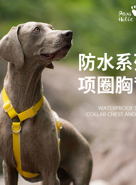 PawsHolic爪迷狗狗防水牵引胸背耐用小型犬中型犬大型犬柴犬斗牛