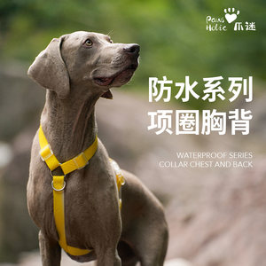 PawsHolic爪迷狗狗防水牵引胸背耐用小型犬中型犬大型犬柴犬斗牛