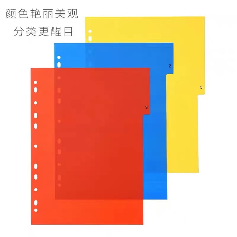 A4分类纸20页活页分类索引纸隔页纸11孔分页隔层20页文件夹PP彩色