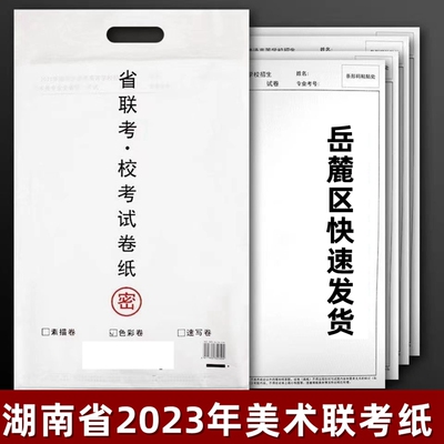 2023年湖南省美术联考纸