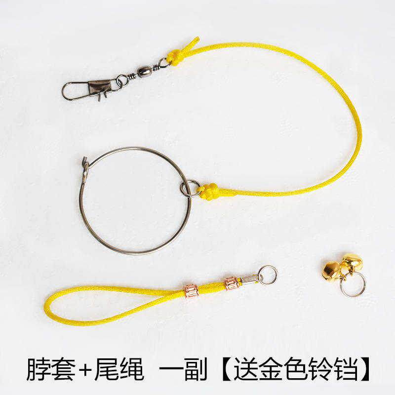 鸟用训鸟绳拴鸟脖套脖链遛鸟绳超轻栓鸟绳脖绳子鸟具用品鸟套脖子