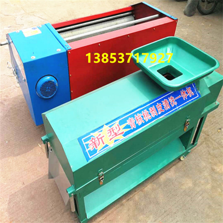 全自动青核桃去皮清洗一体机商用去皮机